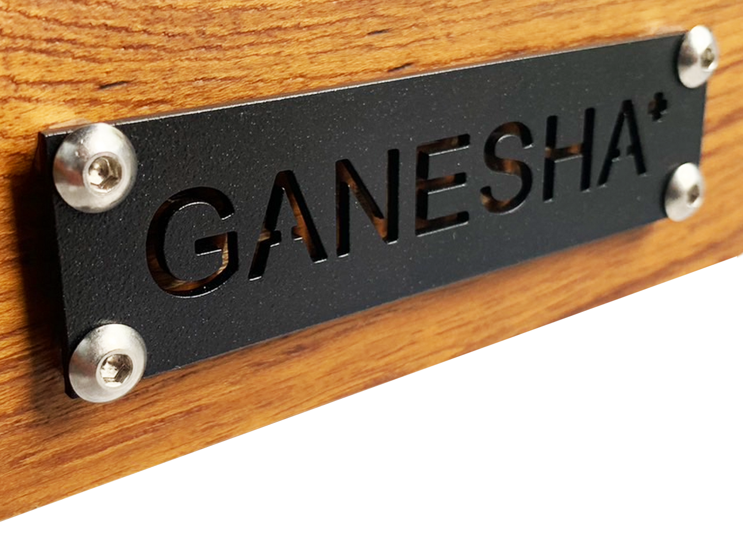 GANESHA+ GC-DX003 DX125 GANESHA Front carrier　